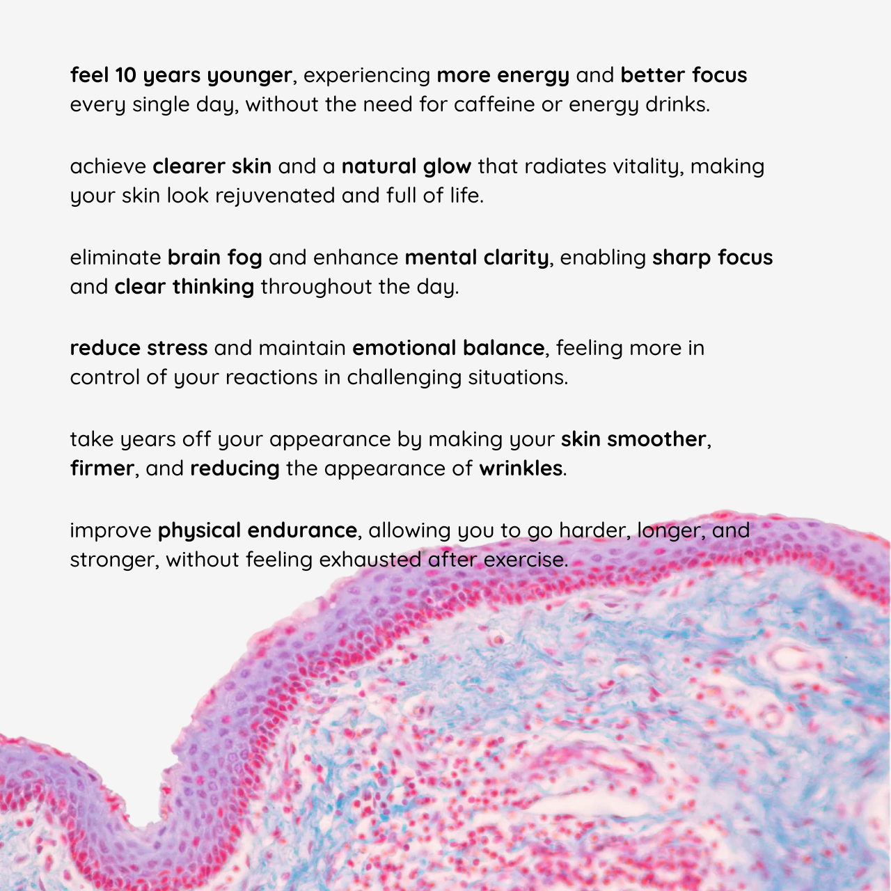 Agelessense® NAD+ Longevity blend